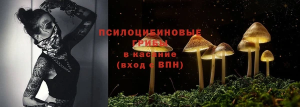 PSILOCYBIN Богородицк